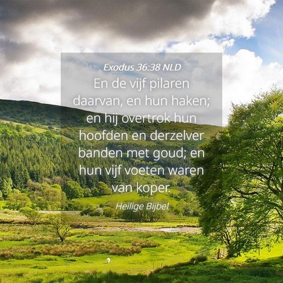 Picture 04 - Exodus 36:38 NLD - En de vijf pilaren daarvan, en hun haken; en hij - Bible Verse Picture