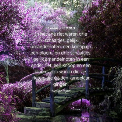 Picture 04 - Exodus 37:19 NLD - In het ene riet waren drie schaaltjes, gelijk - Bible Verse Picture