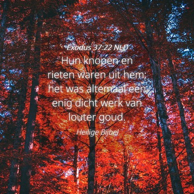 Picture 04 - Exodus 37:22 NLD - Hun knopen en rieten waren uit hem; het was - Bible Verse Picture