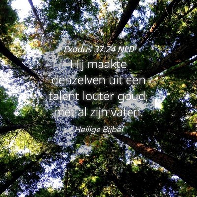 Picture 04 - Exodus 37:24 NLD - Hij maakte denzelven uit een talent louter goud, - Bible Verse Picture