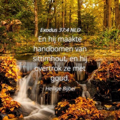 Picture 04 - Exodus 37:4 NLD - En hij maakte handbomen van sittimhout, en hij - Bible Verse Picture
