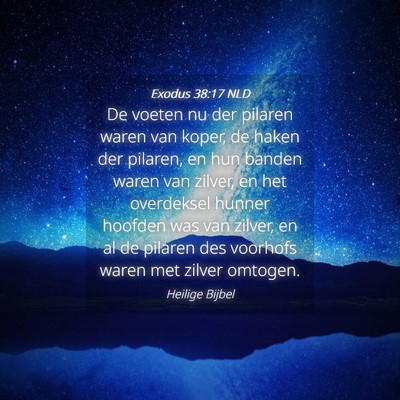 Picture 04 - Exodus 38:17 NLD - De voeten nu der pilaren waren van koper, de - Bible Verse Picture