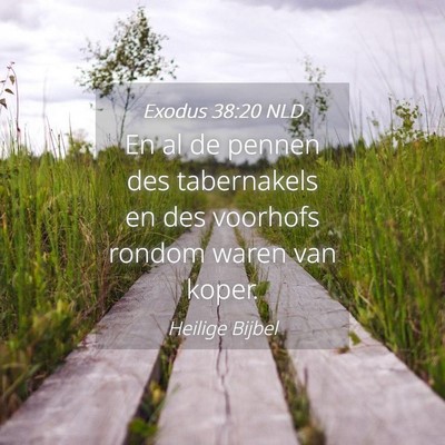 Picture 04 - Exodus 38:20 NLD - En al de pennen des tabernakels en des voorhofs - Bible Verse Picture