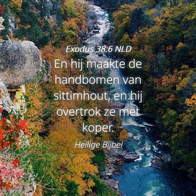 Picture 04 - Exodus 38:6 NLD - En hij maakte de handbomen van sittimhout, en hij - Bible Verse Picture