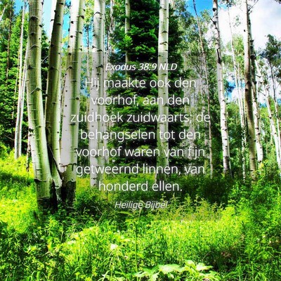 Picture 04 - Exodus 38:9 NLD - Hij maakte ook den voorhof, aan den zuidhoek - Bible Verse Picture