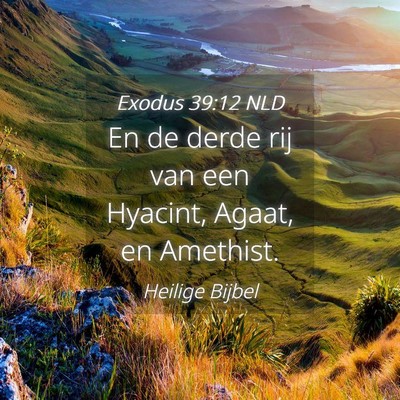 Picture 04 - Exodus 39:12 NLD - En de derde rij van een Hyacint, Agaat, en - Bible Verse Picture