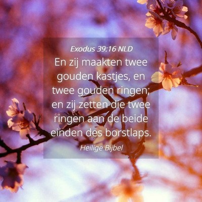 Picture 04 - Exodus 39:16 NLD - En zij maakten twee gouden kastjes, en twee - Bible Verse Picture