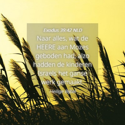 Picture 04 - Exodus 39:42 NLD - Naar alles, wat de HEERE aan Mozes geboden had, - Bible Verse Picture