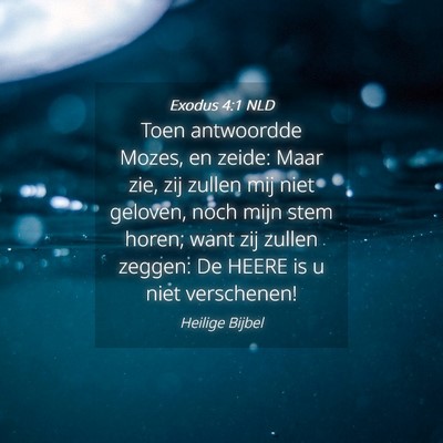 Picture 04 - Exodus 4:1 NLD - Toen antwoordde Mozes, en zeide: Maar zie, zij - Bible Verse Picture