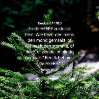 Picture 04 - Exodus 4:11 NLD - En de HEERE zeide tot hem: Wie heeft den mens den - Bible Verse Picture