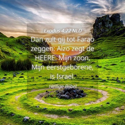 Picture 04 - Exodus 4:22 NLD - Dan zult gij tot Farao zeggen: Alzo zegt de - Bible Verse Picture