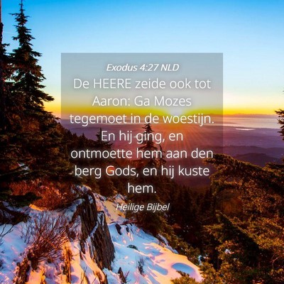 Picture 04 - Exodus 4:27 NLD - De HEERE zeide ook tot Aaron: Ga Mozes tegemoet - Bible Verse Picture