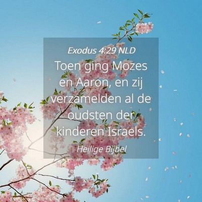 Picture 04 - Exodus 4:29 NLD - Toen ging Mozes en Aaron, en zij verzamelden al - Bible Verse Picture