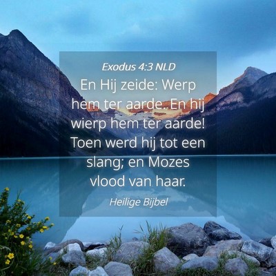 Picture 04 - Exodus 4:3 NLD - En Hij zeide: Werp hem ter aarde. En hij wierp - Bible Verse Picture