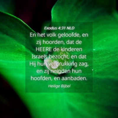Picture 04 - Exodus 4:31 NLD - En het volk geloofde, en zij hoorden, dat de - Bible Verse Picture