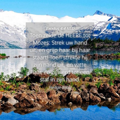 Picture 04 - Exodus 4:4 NLD - Toen zeide de HEERE tot Mozes: Strek uw hand uit, - Bible Verse Picture