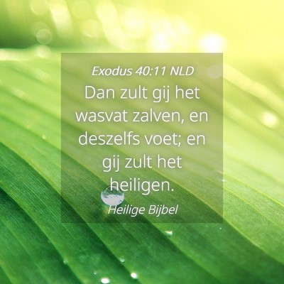 Picture 04 - Exodus 40:11 NLD - Dan zult gij het wasvat zalven, en deszelfs voet; - Bible Verse Picture