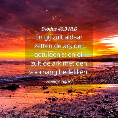 Picture 04 - Exodus 40:3 NLD - En gij zult aldaar zetten de ark der getuigenis; - Bible Verse Picture