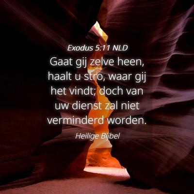 Picture 04 - Exodus 5:11 NLD - Gaat gij zelve heen, haalt u stro, waar gij het - Bible Verse Picture