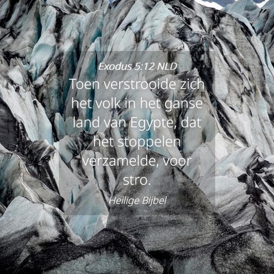 Picture 04 - Exodus 5:12 NLD - Toen verstrooide zich het volk in het ganse land - Bible Verse Picture
