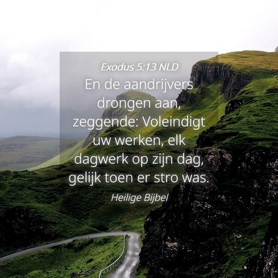 Picture 04 - Exodus 5:13 NLD - En de aandrijvers drongen aan, zeggende: - Bible Verse Picture