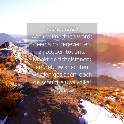 Picture 04 - Exodus 5:16 NLD - Aan uw knechten wordt geen stro gegeven, en zij - Bible Verse Picture