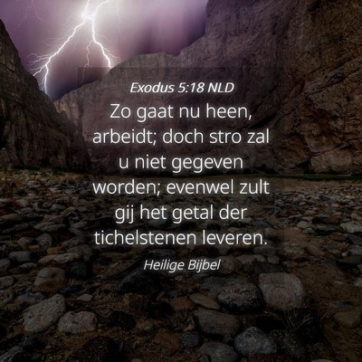 Picture 04 - Exodus 5:18 NLD - Zo gaat nu heen, arbeidt; doch stro zal u niet - Bible Verse Picture