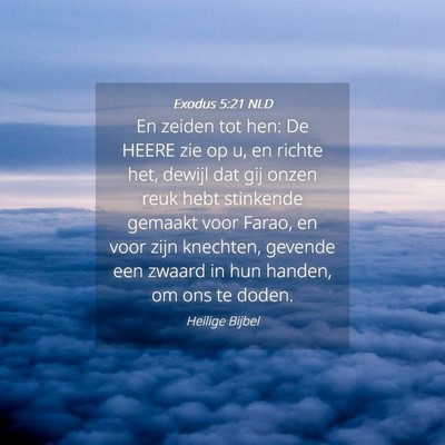 Picture 04 - Exodus 5:21 NLD - En zeiden tot hen: De HEERE zie op u, en richte - Bible Verse Picture