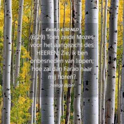 Picture 04 - Exodus 6:30 NLD - (6:29) Toen zeide Mozes voor het aangezicht des - Bible Verse Picture