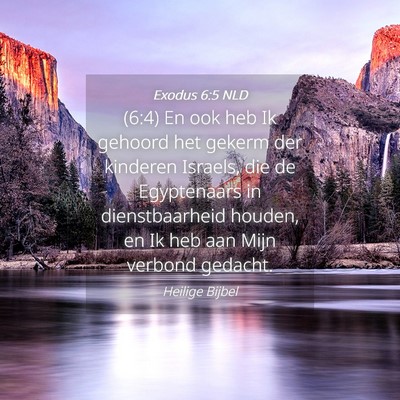 Picture 04 - Exodus 6:5 NLD - (6:4) En ook heb Ik gehoord het gekerm der - Bible Verse Picture