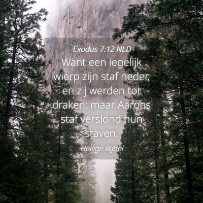 Picture 04 - Exodus 7:12 NLD - Want een iegelijk wierp zijn staf neder, en zij - Bible Verse Picture