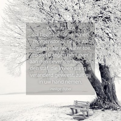 Picture 04 - Exodus 7:15 NLD - Ga heen tot Farao in den morgenstond; zie, hij - Bible Verse Picture