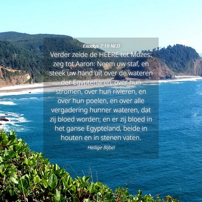 Picture 04 - Exodus 7:19 NLD - Verder zeide de HEERE tot Mozes: zeg tot Aaron: - Bible Verse Picture