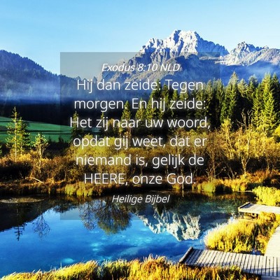 Picture 04 - Exodus 8:10 NLD - Hij dan zeide: Tegen morgen. En hij zeide: Het - Bible Verse Picture