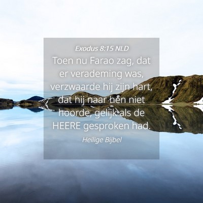 Picture 04 - Exodus 8:15 NLD - Toen nu Farao zag, dat er verademing was, - Bible Verse Picture