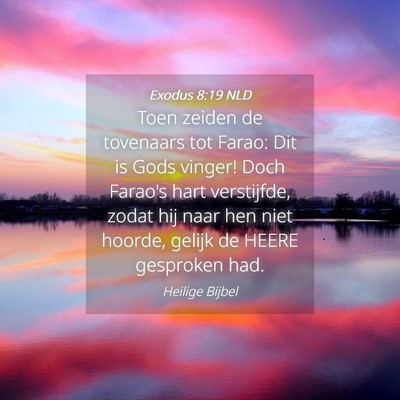 Picture 04 - Exodus 8:19 NLD - Toen zeiden de tovenaars tot Farao: Dit is Gods - Bible Verse Picture