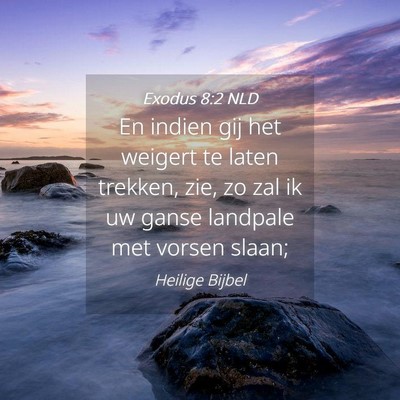 Picture 04 - Exodus 8:2 NLD - En indien gij het weigert te laten trekken, zie, - Bible Verse Picture