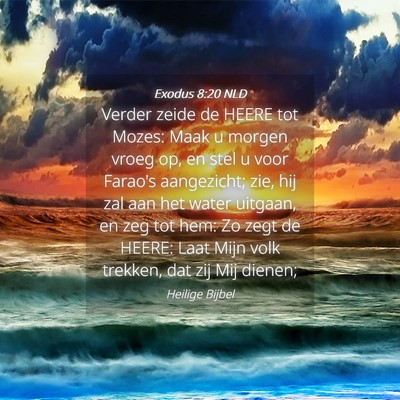 Picture 04 - Exodus 8:20 NLD - Verder zeide de HEERE tot Mozes: Maak u morgen - Bible Verse Picture