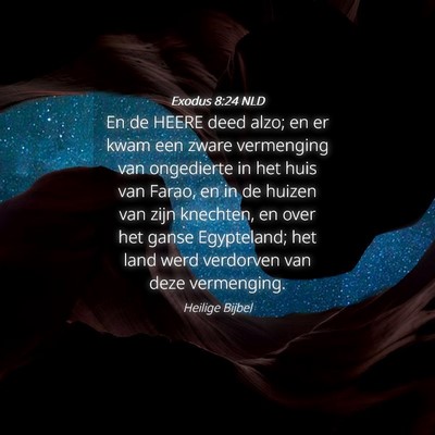 Picture 04 - Exodus 8:24 NLD - En de HEERE deed alzo; en er kwam een zware - Bible Verse Picture