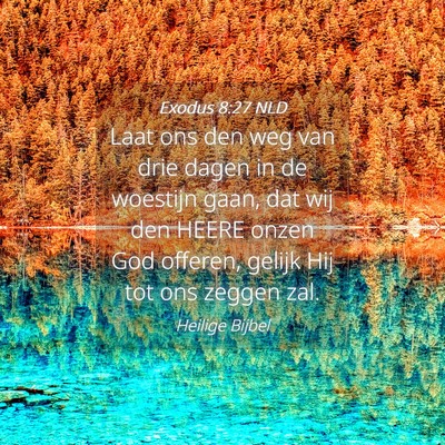 Picture 04 - Exodus 8:27 NLD - Laat ons den weg van drie dagen in de woestijn - Bible Verse Picture