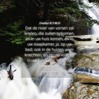 Picture 04 - Exodus 8:3 NLD - Dat de rivier van vorsen zal krielen, die zullen - Bible Verse Picture