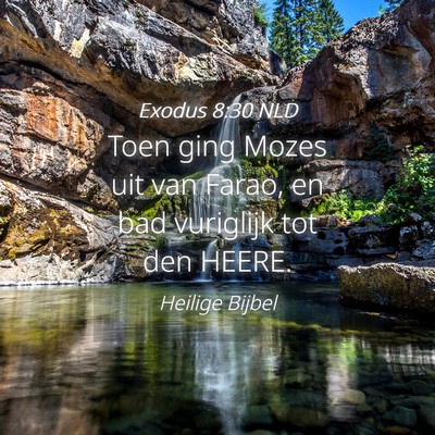 Picture 04 - Exodus 8:30 NLD - Toen ging Mozes uit van Farao, en bad vuriglijk - Bible Verse Picture