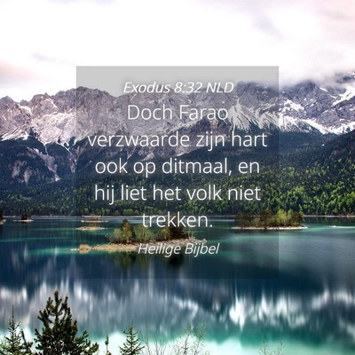 Picture 04 - Exodus 8:32 NLD - Doch Farao verzwaarde zijn hart ook op ditmaal, - Bible Verse Picture