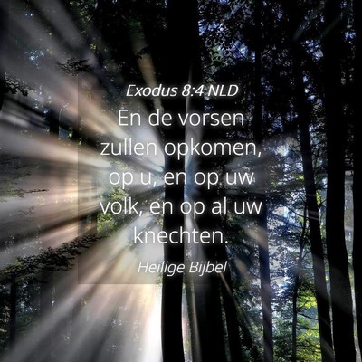 Picture 04 - Exodus 8:4 NLD - En de vorsen zullen opkomen, op u, en op uw volk, - Bible Verse Picture