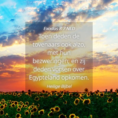 Picture 04 - Exodus 8:7 NLD - Toen deden de tovenaars ook alzo, met hun - Bible Verse Picture