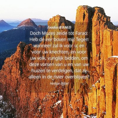 Picture 04 - Exodus 8:9 NLD - Doch Mozes zeide tot Farao: Heb de eer boven mij! - Bible Verse Picture