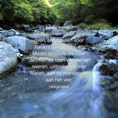 Picture 04 - Exodus 9:10 NLD - En zij namen as uit den oven, en stonden voor - Bible Verse Picture