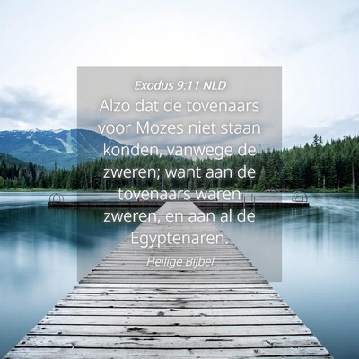 Picture 04 - Exodus 9:11 NLD - Alzo dat de tovenaars voor Mozes niet staan - Bible Verse Picture