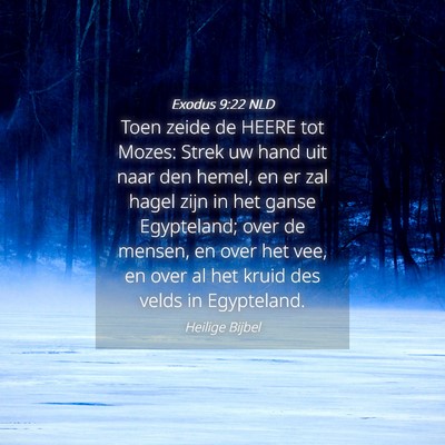 Picture 04 - Exodus 9:22 NLD - Toen zeide de HEERE tot Mozes: Strek uw hand uit - Bible Verse Picture