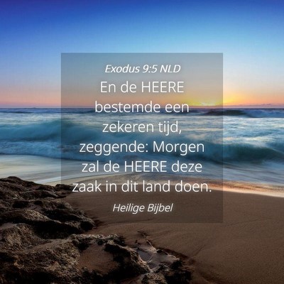 Picture 04 - Exodus 9:5 NLD - En de HEERE bestemde een zekeren tijd, zeggende: - Bible Verse Picture